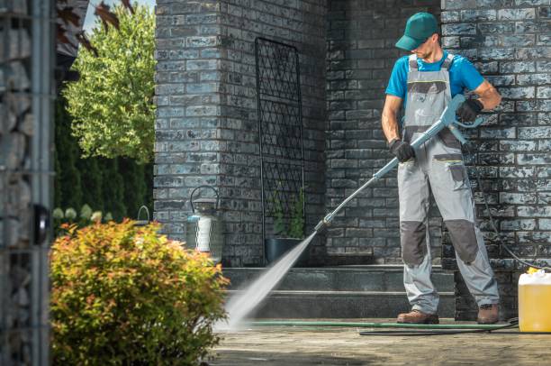 Best Soft Washing  in Fort Meade, FL