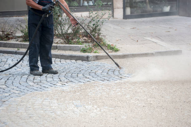 Animal Enclosure Cleaning in Fort Meade, FL