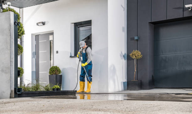 Best Gutter Cleaning  in Fort Meade, FL